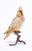 A cold painted bronze cockatoo: marked for Bergmann, naturalistically modelled perched on a stump,
