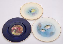 Three Royal Worcester porcelain plates: comprising one painted with a circular panel containing a