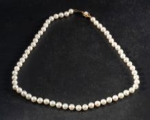 A single row necklace of cultured pearls with a 9ct gold clasp,