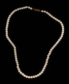 A cultured pearl necklace,: the uniform 4mm cultured pearls, with a 9 carat gold clasp, stamped 375,