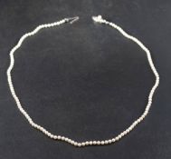 A single row necklace of Mikimoto cultured pearls to a silver clasp,