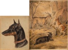 Manner of Edwin Landseer, 19th Century- Head of a dog,:- signed with initials 'EA', watercolour,