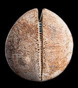 *Alan Wallwork [1931-2019] a stoneware 'split seed pod': of flattened oviform with notched aperture
