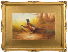 Donald Birbeck [20th Century]- Pair of pheasants in a clearing,- signed bottom left, watercolour,