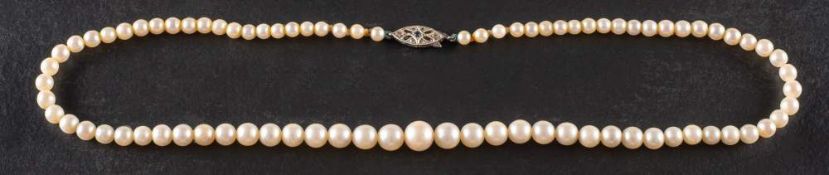 A single-row of graduated cultured pearls with a 9ct gold clasp the pearls of creamy hue,