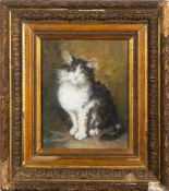 P. Boudey [19/20th Century]- Seated kitten,:- signed, pastel drawing, 25 x 20cm.