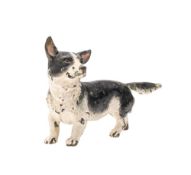 An Austrian cold painted bronze model of a Corgi: 10cm long.