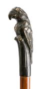 A polished hardwood walking cane: the handle in the form of a perching parrot, 88cm long.