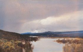 Frederick John Widgery [1861-1942]- A Dartmoor pool,:- signed and dated 1909 gouache, 28 x 45cm.