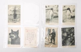 British Antarctic 'Terra-Nova' Expedition 1910-1913.