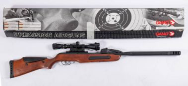 A Gamo Maxxim Elite .