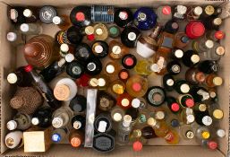 A collection of various miniature spirits and liqueurs: including Bells, Bols and others.