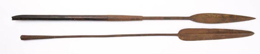A 19th century steel lance head on a short section of pole: together with an iron spear head (2)