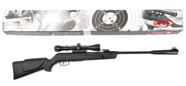 A Gamo Whisper Sting .