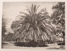 A 19th century leather bound photograph album for 'Riviera and Italian Tour 1894' for 'HA & M