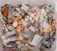 A large collection of various sea shells in two glass jars and loose,