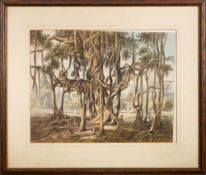Doyley, Thomas & William ? : hand coloured aquatint of an exotic Indian tree.