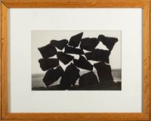 GOLDSWORTHY, Andy (photographer) 