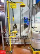 Emergency Eye Wash Station with Shower - Rigging Fee: $250