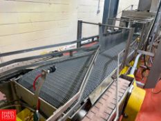 Merge Conveyor with Motor - Rigging Fee: $1,200