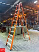 12' Fiberglass A Frame Ladder - Rigging Fee: $50