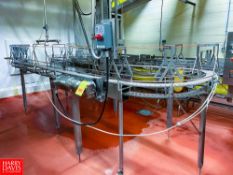 Serpentine Conveyor 30' Length x 3