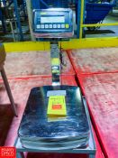 UWE 13 LB Capacity Tabletop S/S Scale with S/S Stand - Rigging Fee: $50