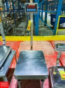 100 LB Capacity Tabletop S/S Scale with S/S Stand - Rigging Fee: $50