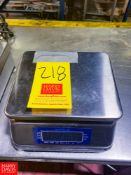 Super-6 13 LB Capacity Bench Top S/S Scale - Rigging Fee: $50