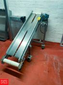 14“ x 80“ Incline Conveyor, with Motor Mounted on S/S Portable Cart Rigging fee: $450