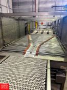 Mettler Toledo 4' x 8', 1 to 4 High Speed Conveyor, with S/S Framed Mesh Enclosure and Lesson 1,