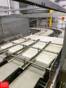 4 Belt to 1 Belt High Speed Conveyor, with S/S Frame Mesh Enclosure and Motor Rigging fee: $950