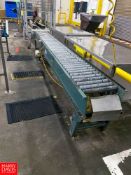 13' Roller Conveyor, with Drive Rigging fee: $450
