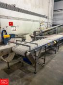 3 Track Conveyor System, 25