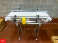 S/S Conveyor with Drive Dimensions = 48