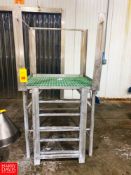 S/S Framed Platform with Grating and Ladder Dimensions = 40