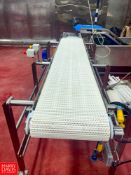 Brine Tank Discharge Conveyor with Integral Roller-Drive Motor