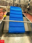 Brine Tank Discharge Conveyor