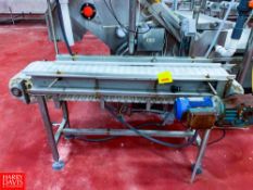 S/S Frame Conveyor with Drive Dimensions = 5' x 1'