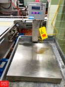 Mettler Toledo 150 LB Capacity S/S Digital Over Under Scale, Model: SW - Rigging Fee: $25