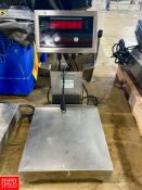 IQ 210-2A S/S Scale - Riggers Fee: $100