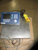 Mettler Toledo Model IND 780 S/S Floor Scale with Remote Display: 18