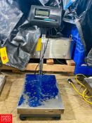 DigiWeigh S/S Scale - Riggers Fee: $100