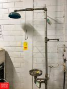 Emergency Eye Wash and Shower Station - Rigging Fee $30