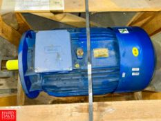 Stober 63 RPM Drive, Stober 30 RPM Drive, and Elektrim Motor - Rigging Fee $50