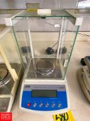 Radway 220 Gram Digital Scale, Model: AS220/C/2 - Rigging Fee: $75