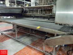 S/S Conveyor, with Motor 43