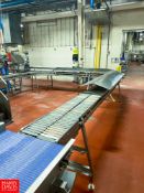 Over 100' Dual Serpentine Conveyor System, with Lesson 2 HP Motor and Baldor 1.5 HP Motor and