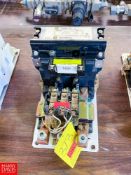 Square D - Size 5 Starters