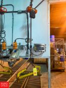 1,000 LB Capacity Drum Weigher with Weigh-Tronix WI-127 Readout, CM Shopstar 600 LB Capacity Hoist